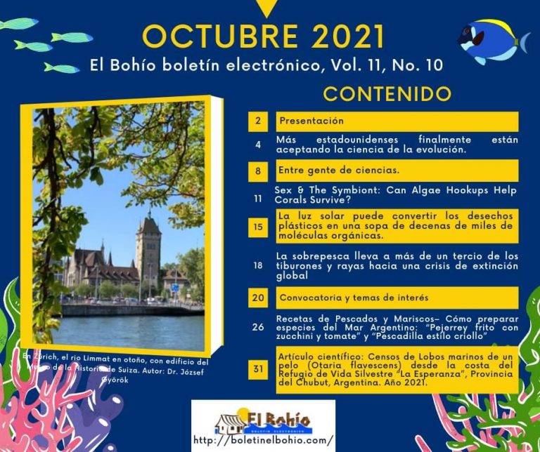 El Bohío boletín electrónico Vol. 11, No. 10, 0ctubre 2021